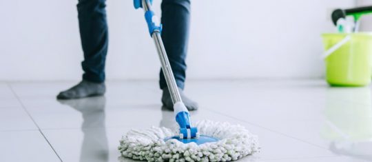 Hygiène professionnel